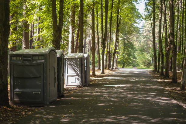 Best Luxury portable toilet rental  in Forest Park, OH